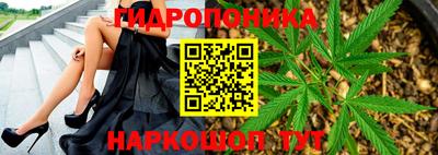 ALPHA PVP Донской
